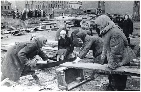 siege of leningrad casualties